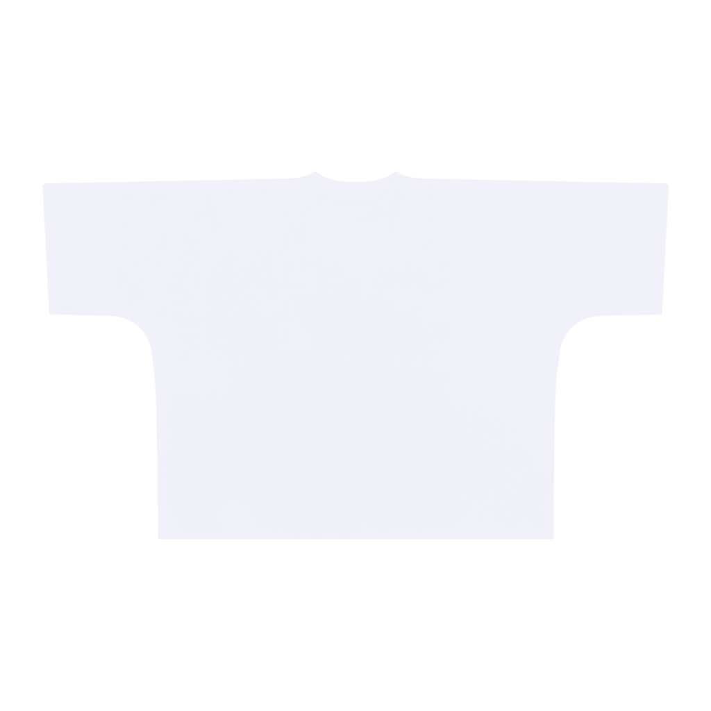THE CLASSICS OVERSIZED BOXY T-SHIRT WHITE