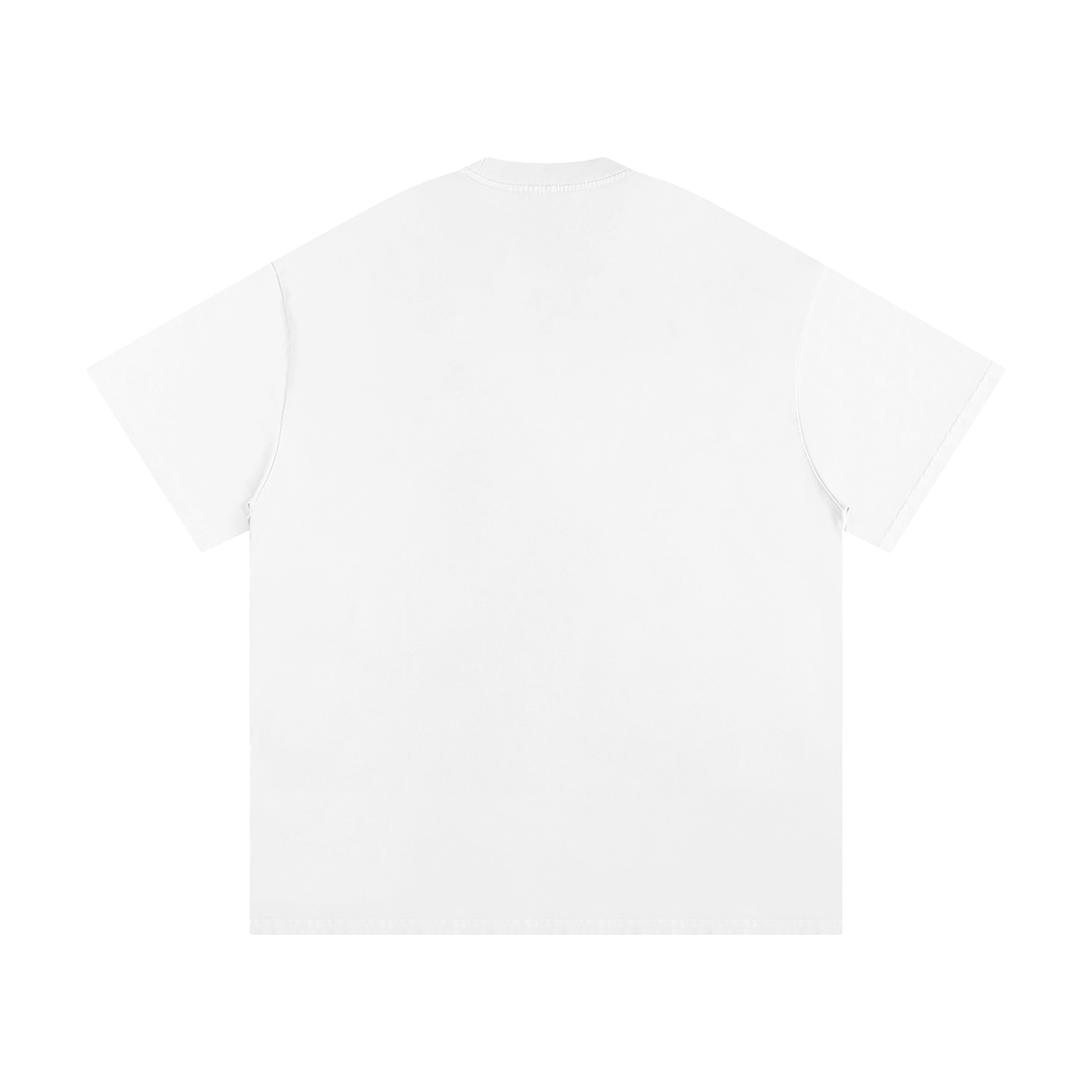 THE CLASSICS HEAVYWEIGHT T-SHIRT WHITE
