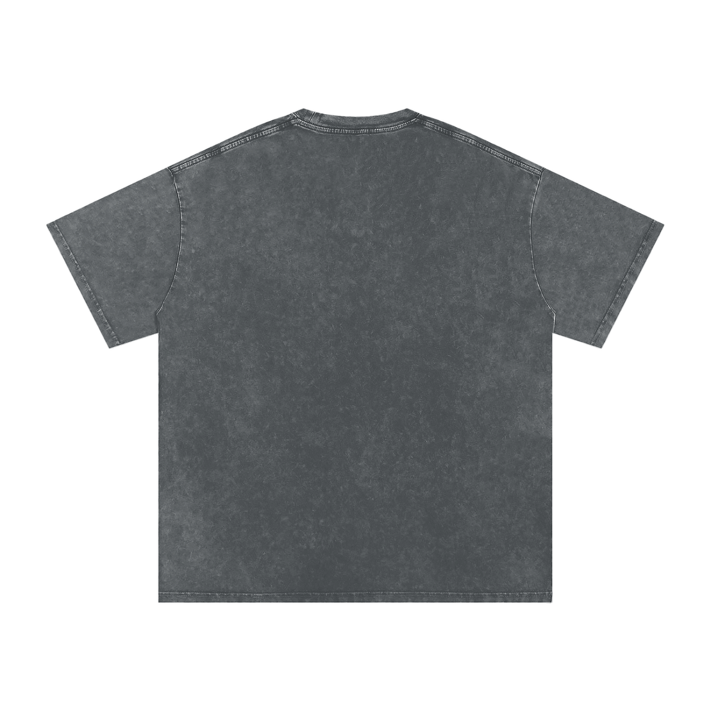 THE CLASSICS SNOW WASHED T-SHIRT GRAY