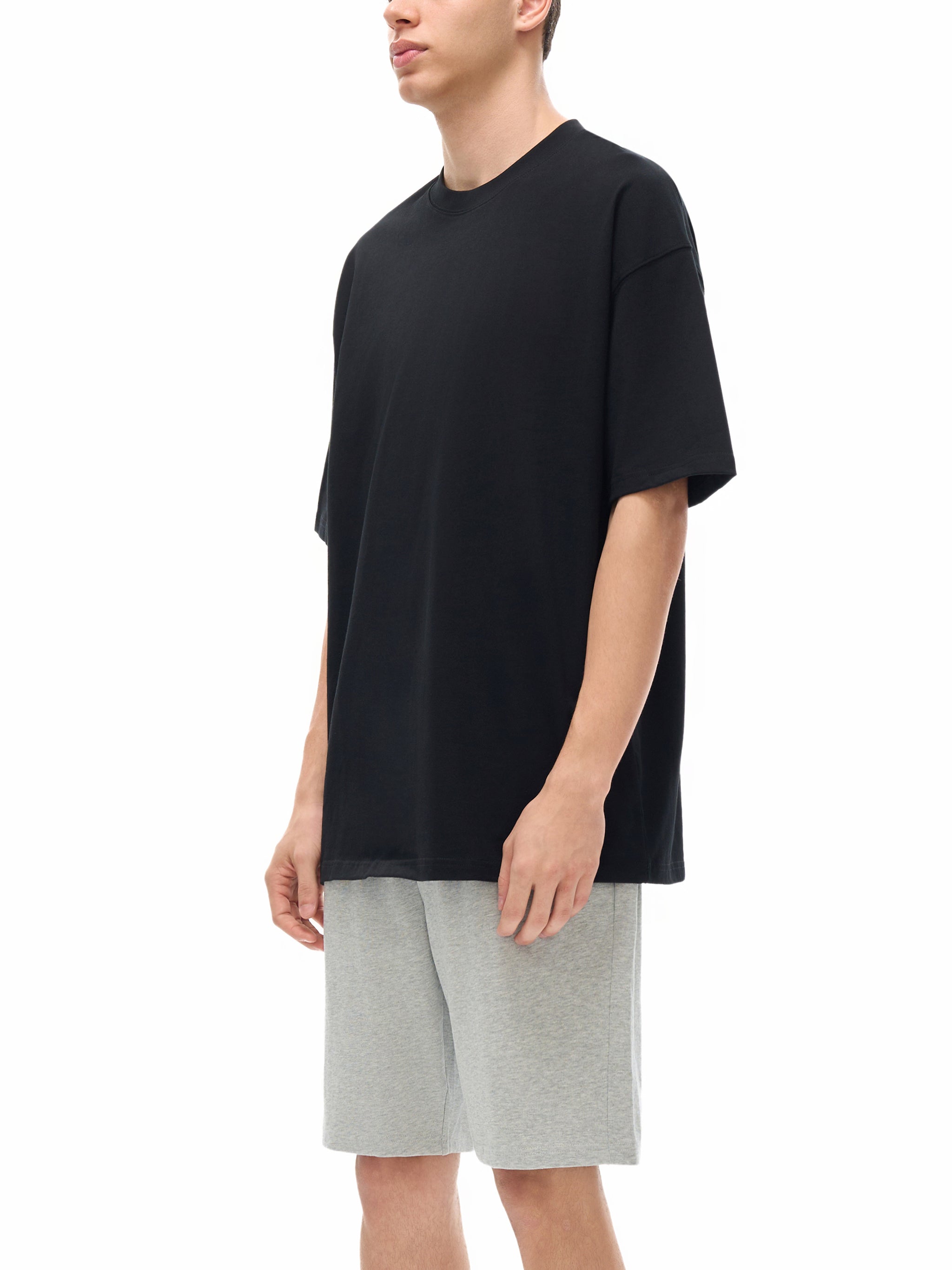THE CLASSICS HEAVYWEIGHT T-SHIRT LIGHT GRAY